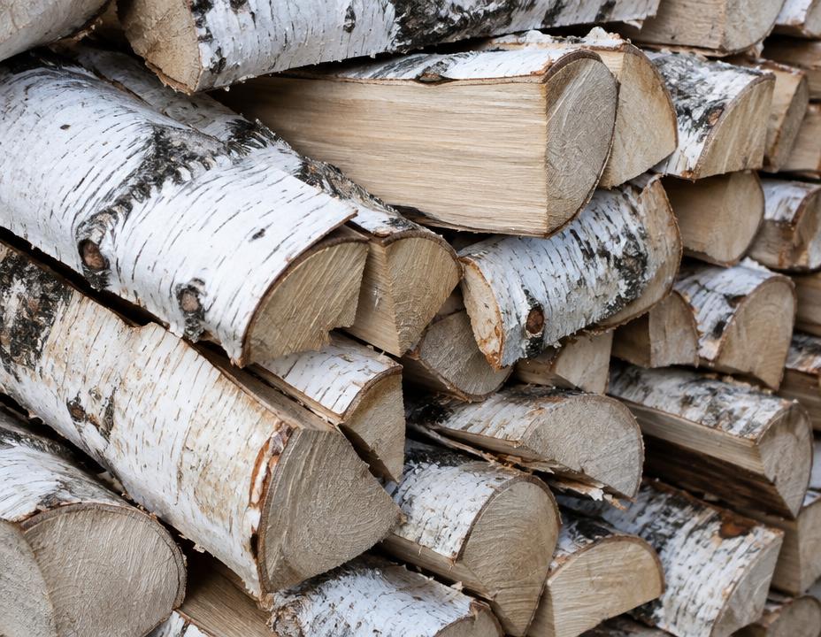 Bois de chauffage Bouleau en bûches de 33 cm, vendu au stère